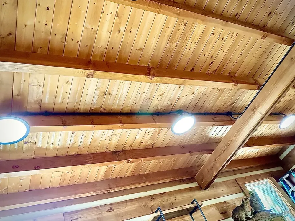 Residential cabin light fixtures and ceiling fan install - Work completed by Mills Electric Co.