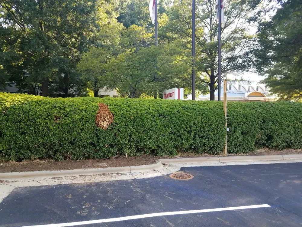 Commercial electrical underground trenches, feeders, and utility transformer connections - Work completed by Mills Electric Co.
